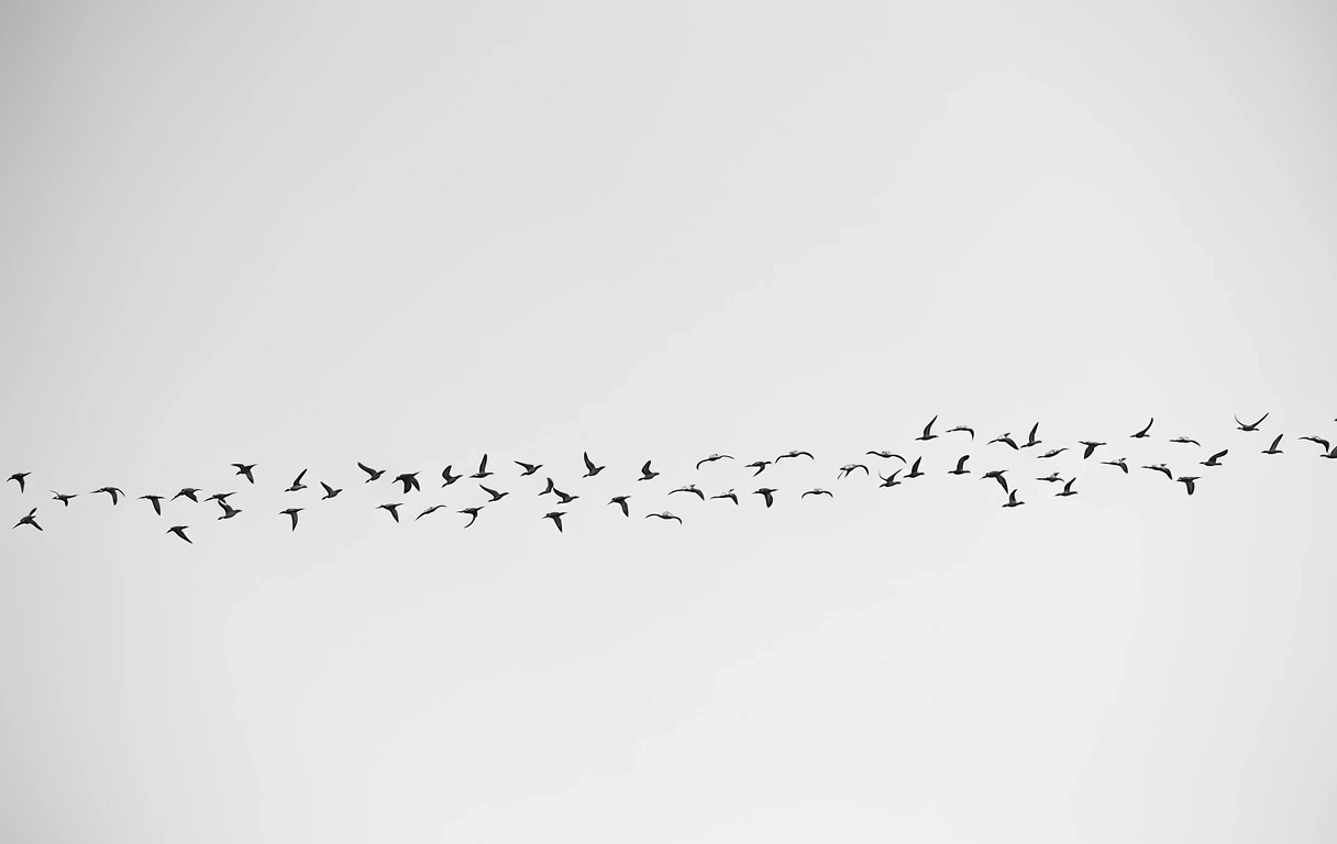 Visual metaphor for herd mentality